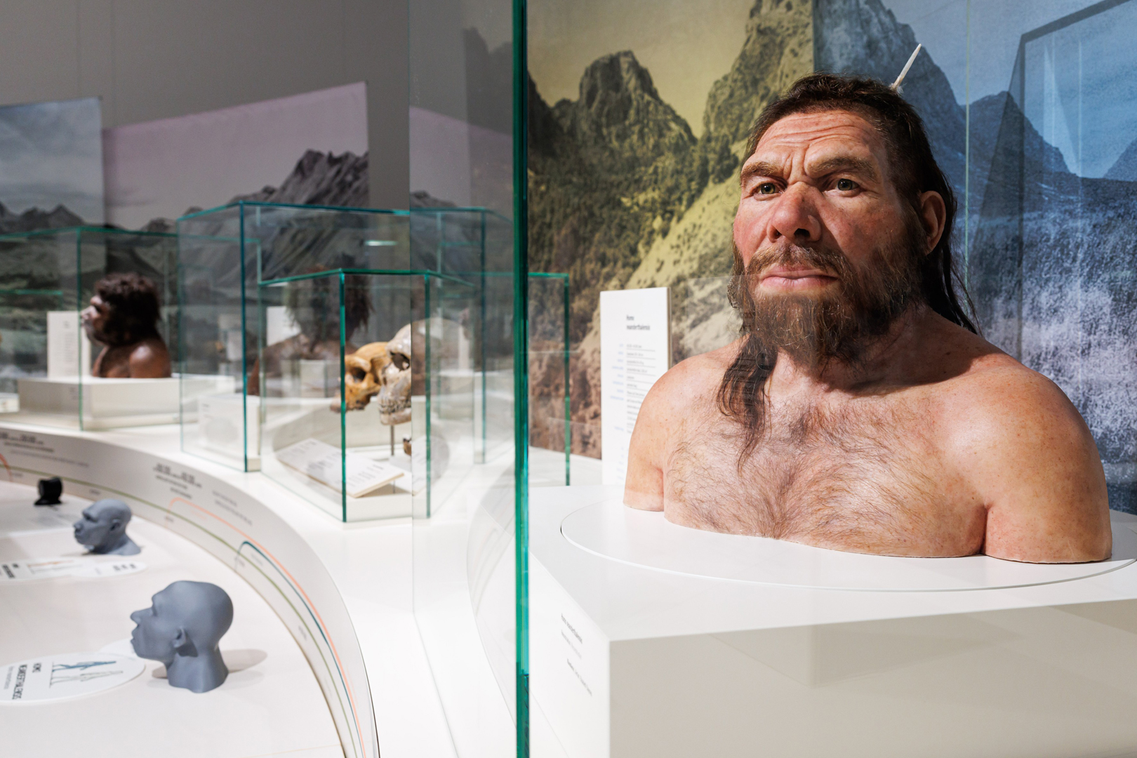 Ausstellung Evolution des Menschen im Staatlichen Museum für Naturkunde Karlsruhe