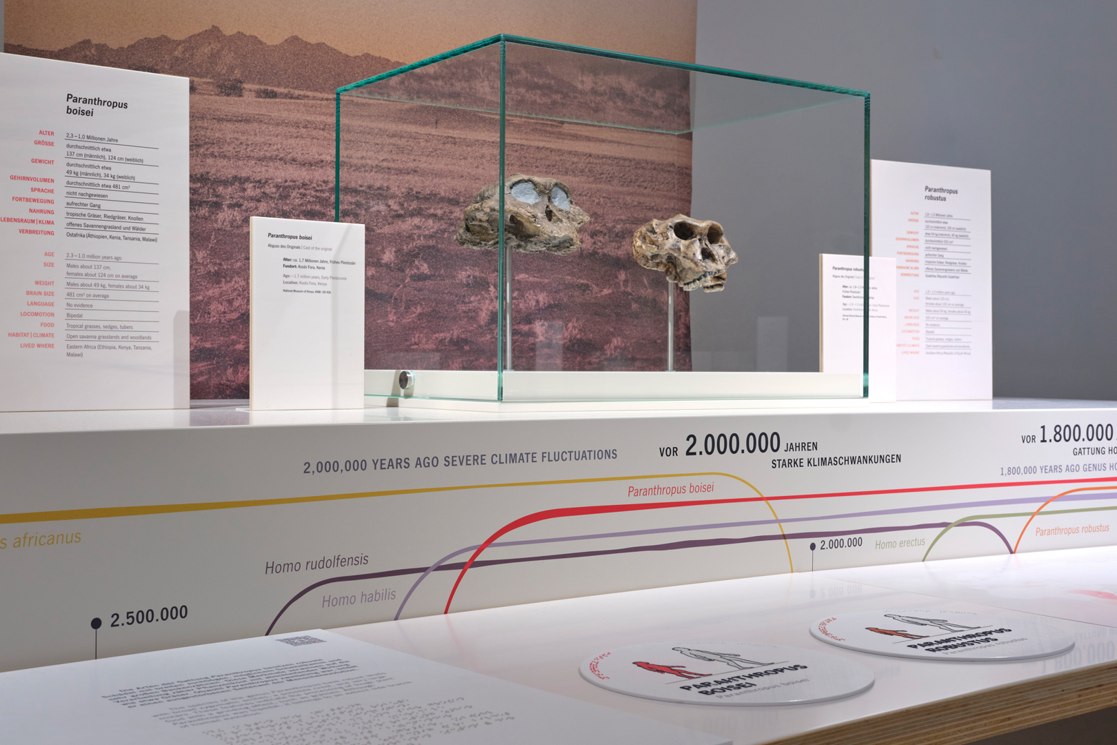 Ausstellung Evolution des Menschen im Staatlichen Museum für Naturkunde Karlsruhe