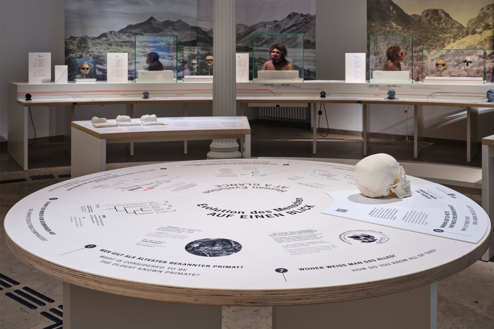 Ausstellung Evolution des Menschen im Staatlichen Museum für Naturkunde Karlsruhe