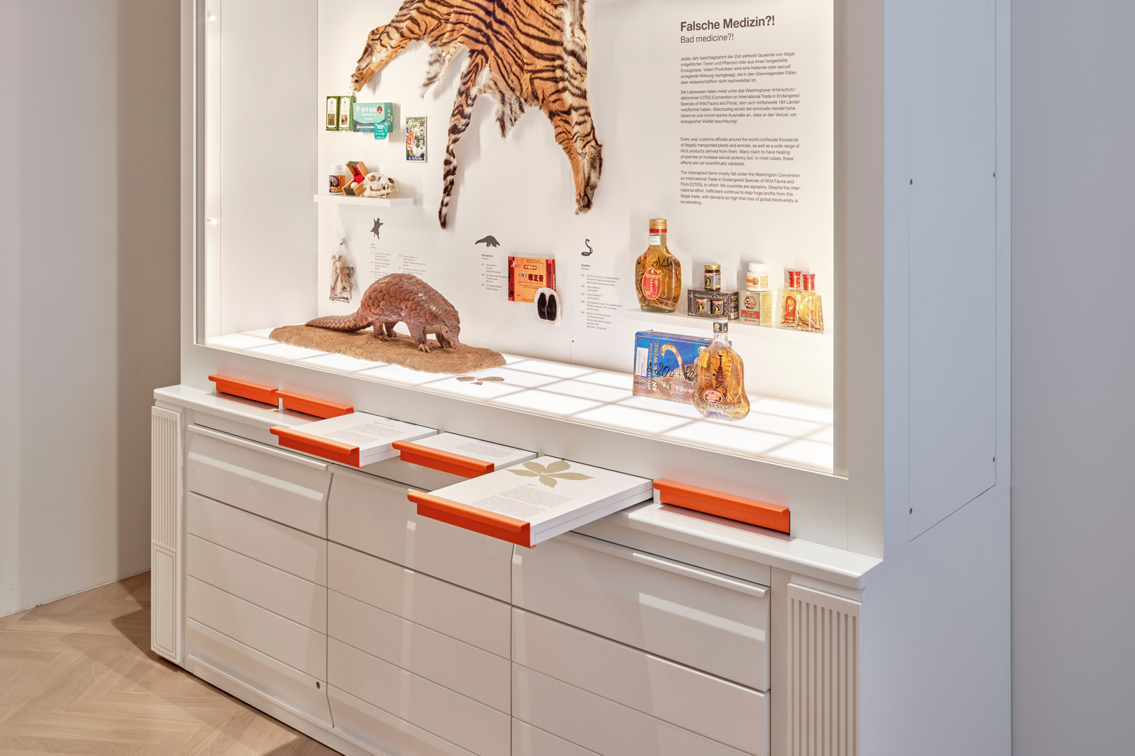 Senckenberg Naturmuseum Ausstellung Natur und Medizin