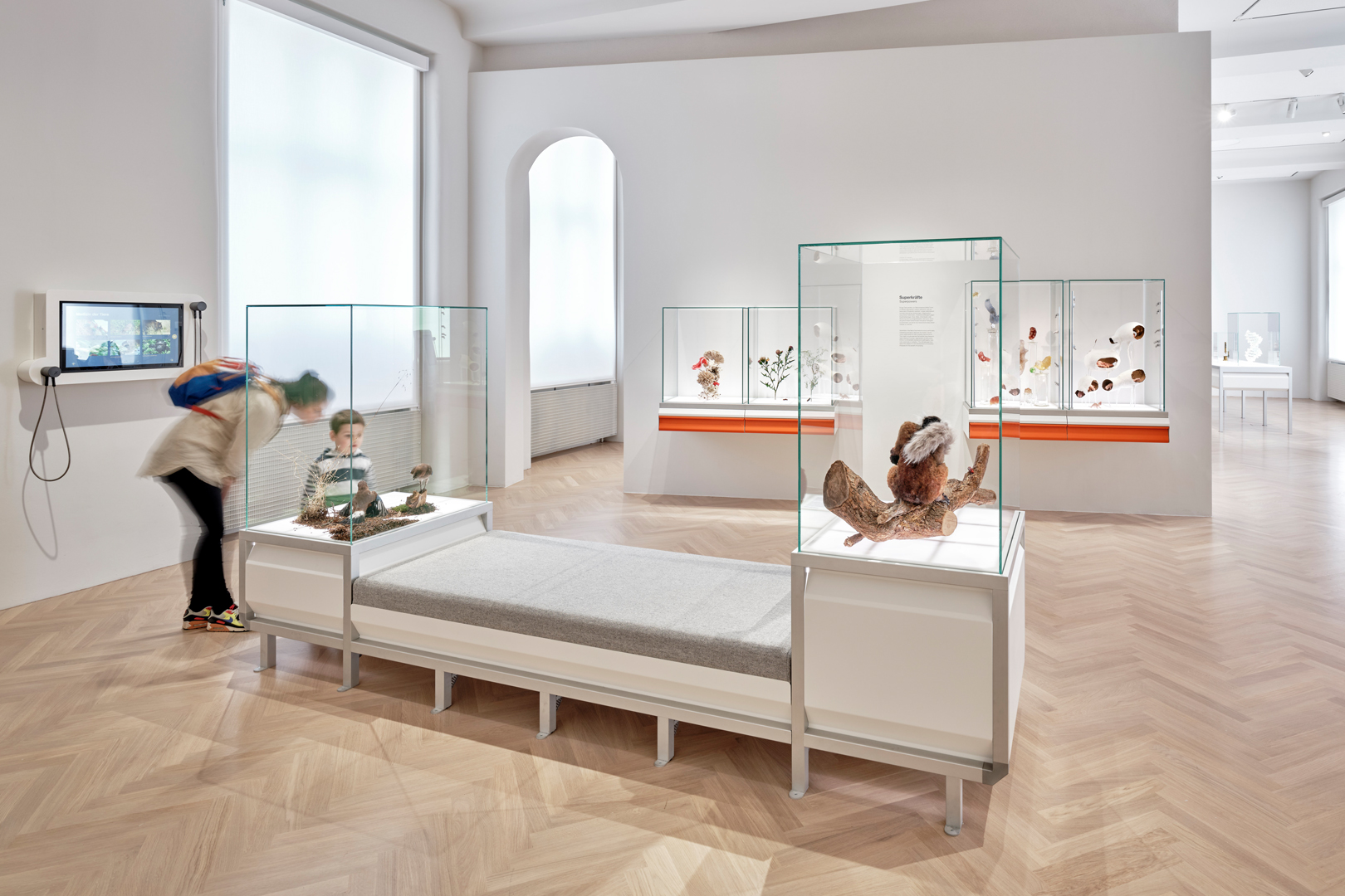 Senckenberg Naturmuseum Ausstellung Natur und Medizin