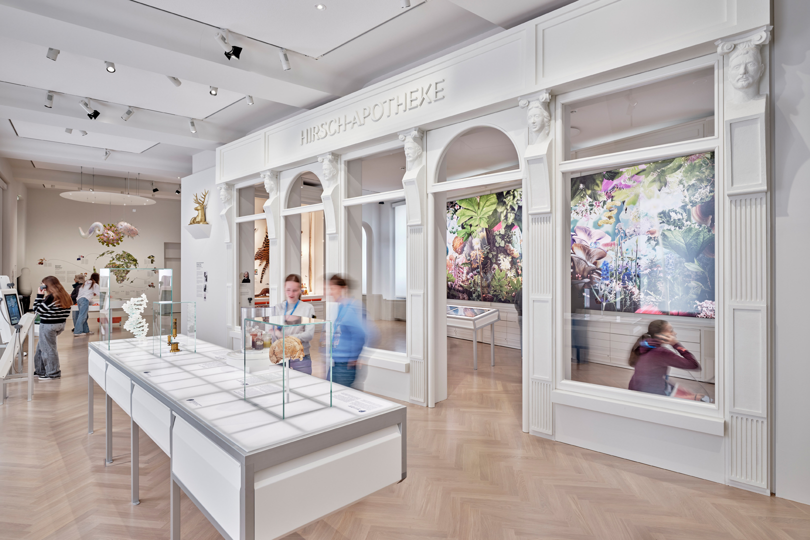 Senckenberg Naturmuseum Ausstellung Natur und Medizin