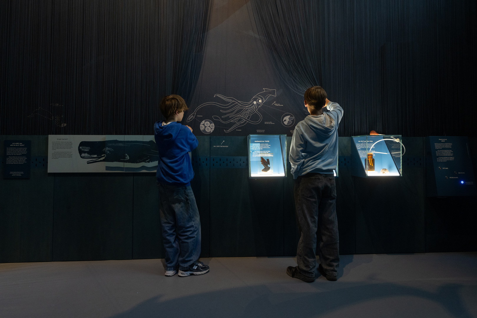 Ausstellung Die Welt der Wale im Hessischen Landesmuseum