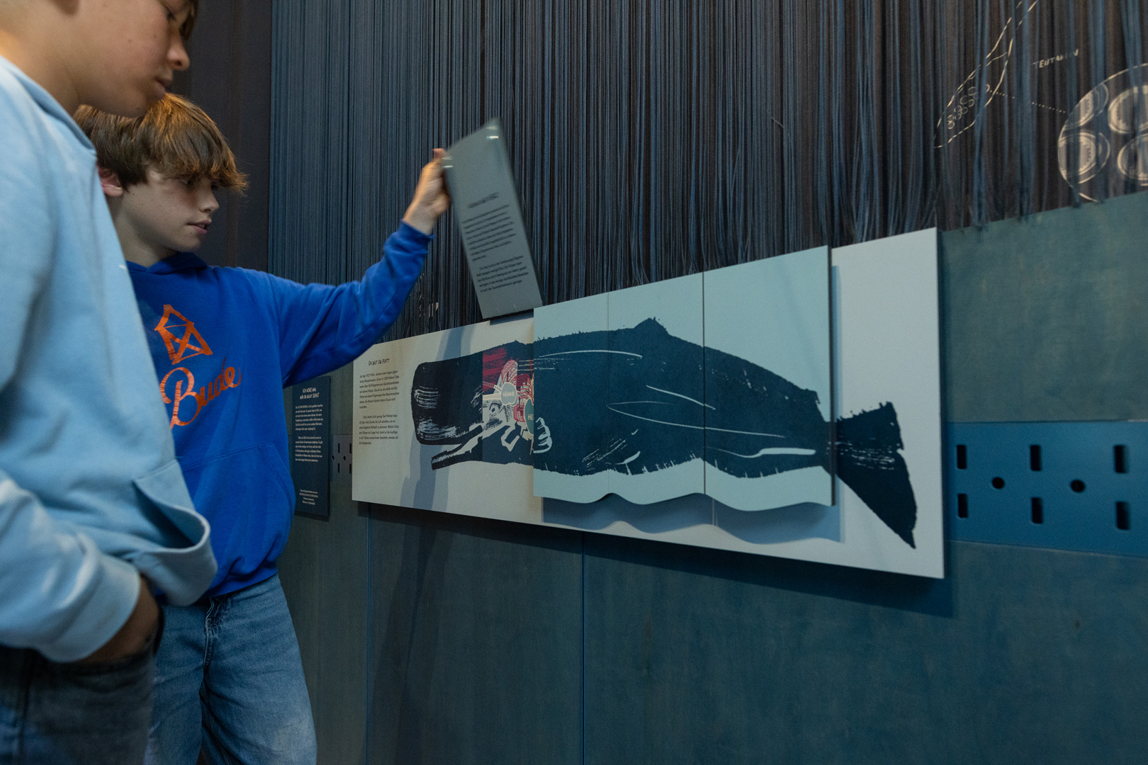 Ausstellung Die Welt der Wale im Hessischen Landesmuseum